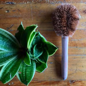 LESTARI Organic Coconut Brush with Handle